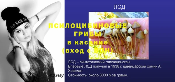 спиды Алзамай