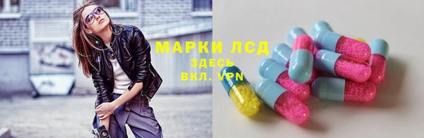 ПСИЛОЦИБИНОВЫЕ ГРИБЫ Алексеевка