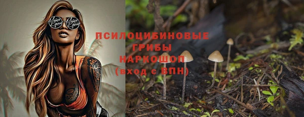 спиды Алзамай