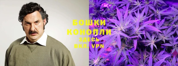 ПСИЛОЦИБИНОВЫЕ ГРИБЫ Алексеевка